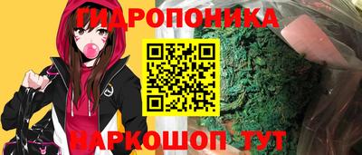 ECSTASY Кимры