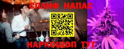 прущие крисы Кингисепп
