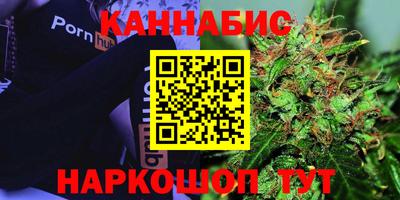 прущие крисы Кингисепп