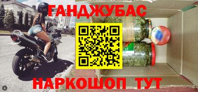прущие крисы Кингисепп