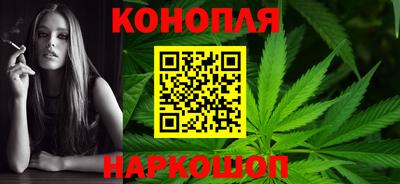 прущие крисы Кингисепп