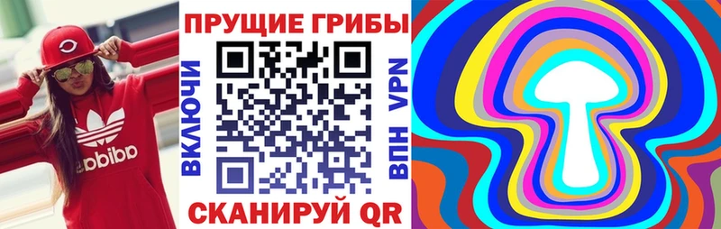 Псилоцибиновые грибы мицелий  Кулебаки 