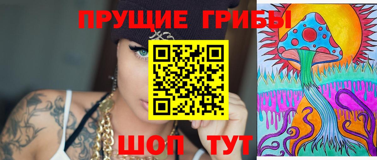 Кулебаки  Псилоцибиновые грибы Cubensis  Вход с VPN  Галлюциногенные грибы прущие грибы 
