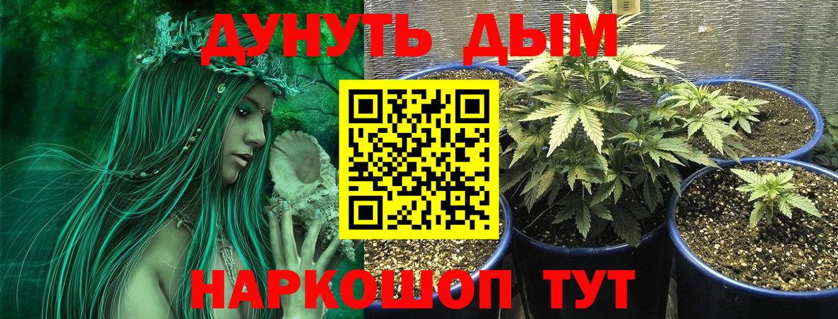 МАРИХУАНА VHQ Кулебаки